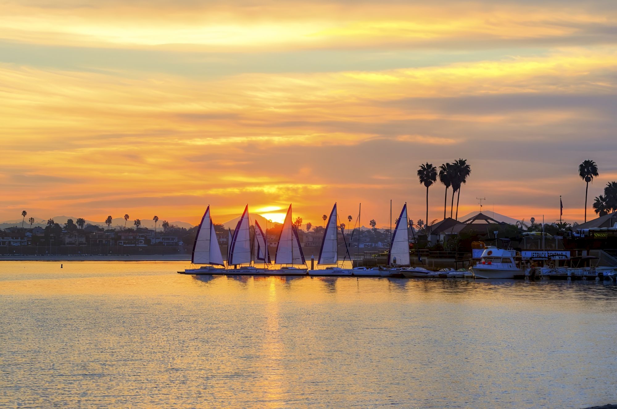 Sunset over the bay with sails on the water and palm trees silhouettes, calm reflections, warm orange skies ending the day.