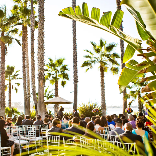 Outdoor wedding or event ceremony by the beach, seated guests under palm trees with sunlight filtering through tropical foliage.