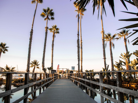 A wooden boardwalk leads to a sunny beach, flanked by tall palm trees on both sides, with a calm sea and clear blue sky in the distance.