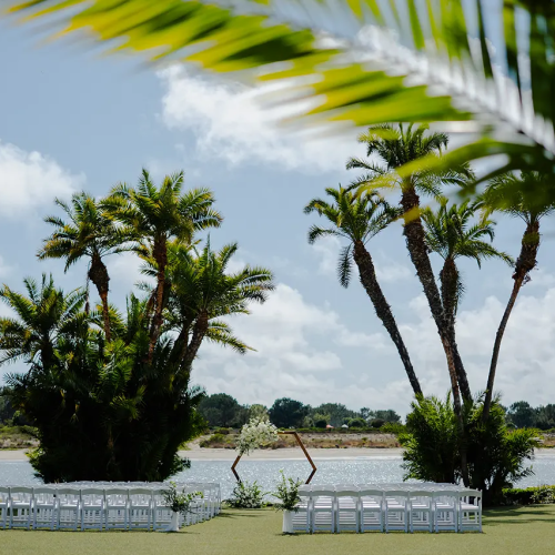 Palm trees by a lakeside with white chairs set up for an outdoor event.