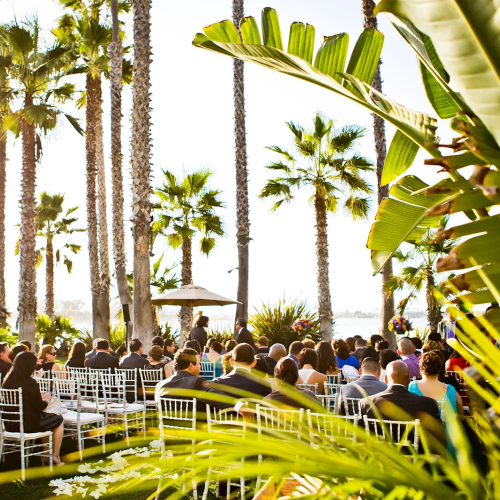A tropical outdoor wedding or event setup with white chairs, guests seated under palm trees, bright sunlight, and lush greenery surrounding the gathering.