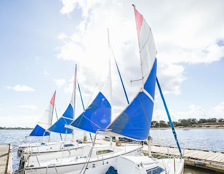 Discover Mission Bay