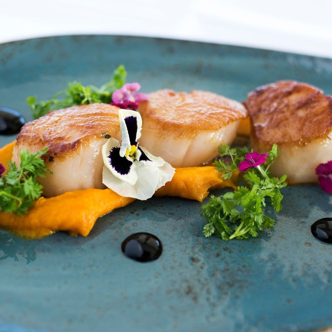 Seared scallops with orange pur&eacute;e, microgreens, edible flowers, and a drizzle of balsamic glaze on a blue plate.